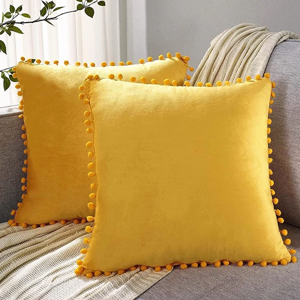 2 Pack Pillowcase 18x18 Decorative Boho Throw Pillow Covers Smooth Soft Velvet